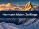 Hermann Maier: Zwillinge