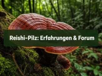 Reishi-Pilz: Erfahrungen & Forum