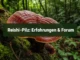 Reishi-Pilz: Erfahrungen & Forum