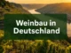 Weinbau in Deutschland